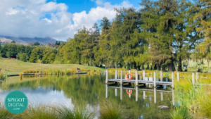Why Travel and Tourism Businesses Struggle with Social Media Consistency